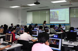 2014年市政府实事项目意见征集 职业技能培训助力民生改善与经济发展