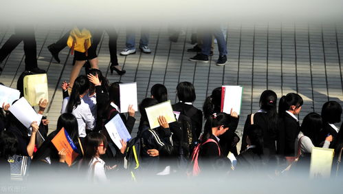 初中毕业后的多元职业路径 技能培训与就业前景